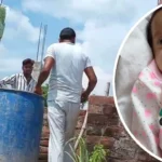monkey-attack-sitapur