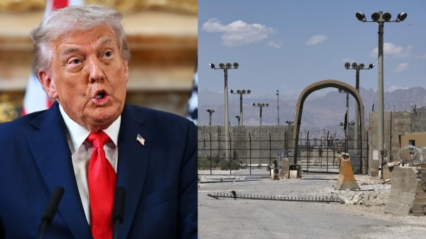 trumbsese-down-1758425995