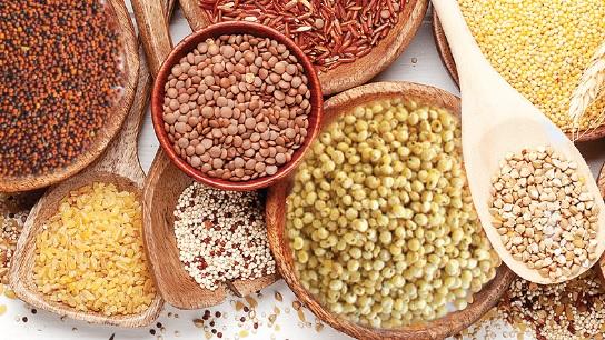 சிறுதானியங்கள் சாகுபடிக்கு விவசாயிகள் முக்கியத்துவம் அளிக்க வேண்டும்: