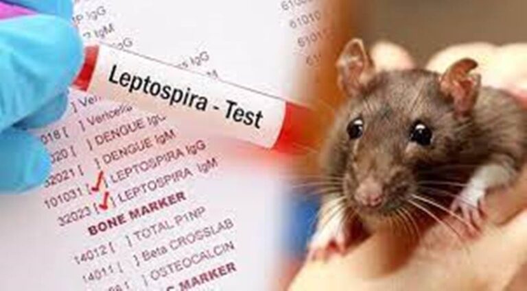 எலிக் காய்ச்சலால் மாணவர்கள் பாதிப்பு; கல்லூரியை மூட உத்தரவு!!