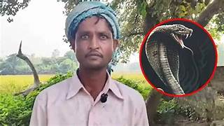 பகலில் பத்மினி… இரவில் நாகினி..; பாம்பாக மாறும் மனைவி – கதறும் கணவர்!