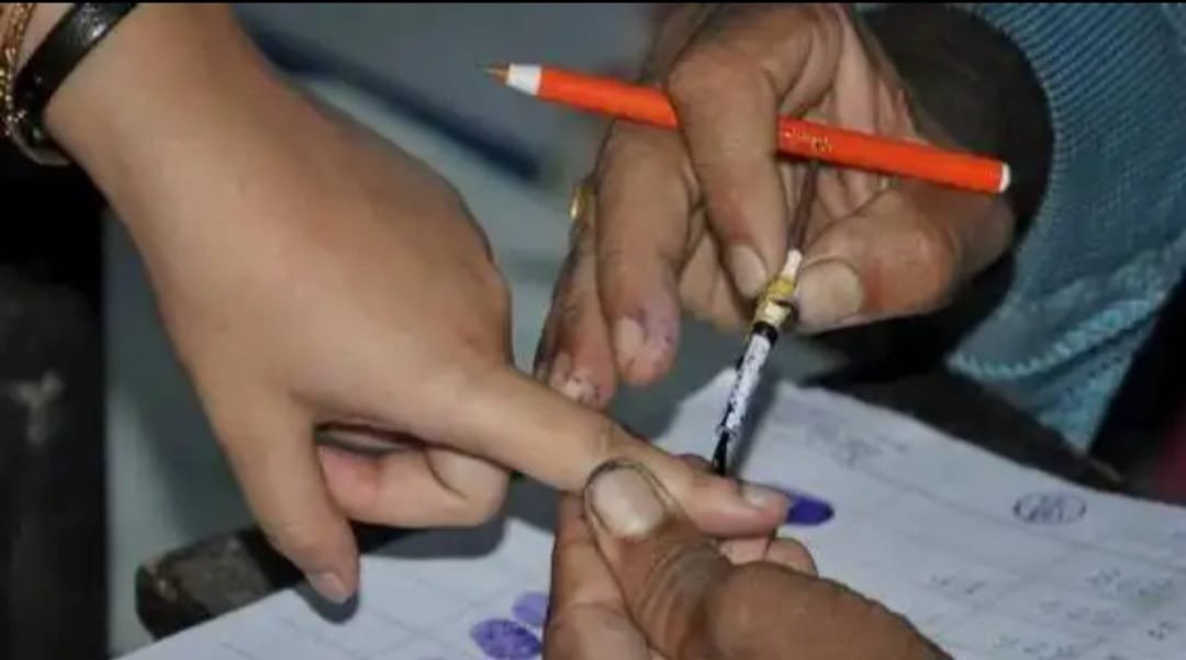 vote