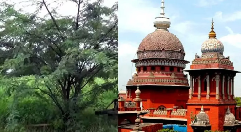 Screenshot 2026-03-19 111605